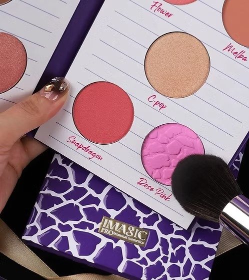 IMAGIC - 10 Color Blusher Palette