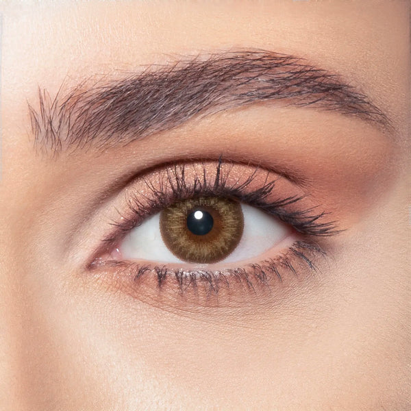 Bella Venus Color Contact Lenses – One Day, 10 Pairs Almond Brown