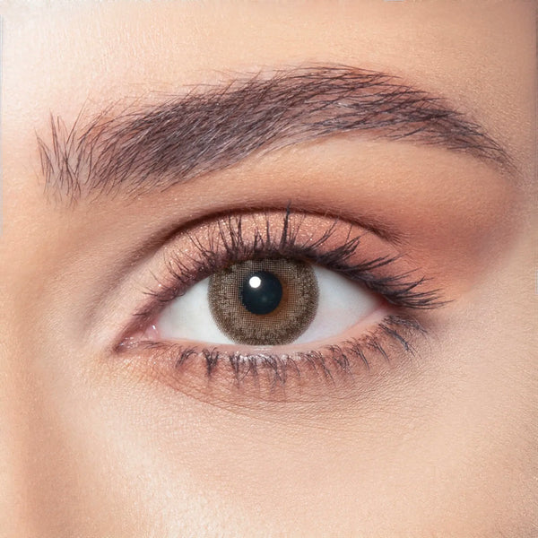Bella Venus Color Contact Lenses – One Day, 10 Pairs Almond Brown