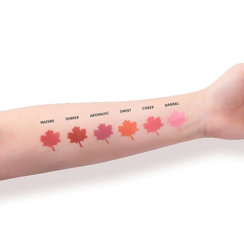 Imagic - 6 Color Touch Blush Palette