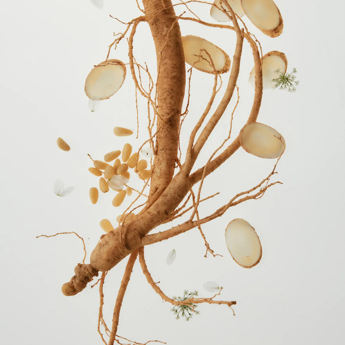 Beauty Of Joseon - Ginseng Cleansing Oil 210 mL